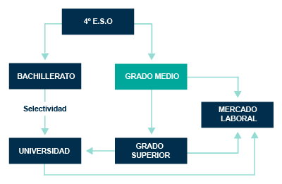 esquema para estudiar un grado medio en madrid