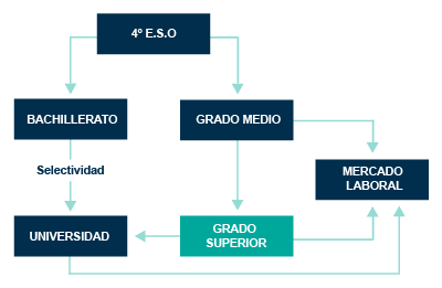 esquema para estudiar un grado superior en almeria