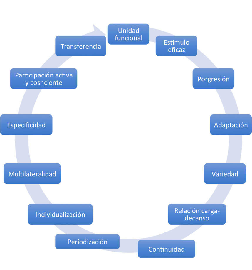 cuales son las caracteristicas fisicas del voleibol