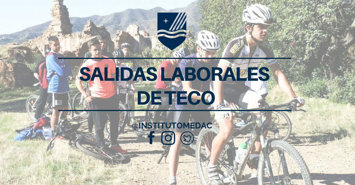 SALIDAS LABORALES DE TECO