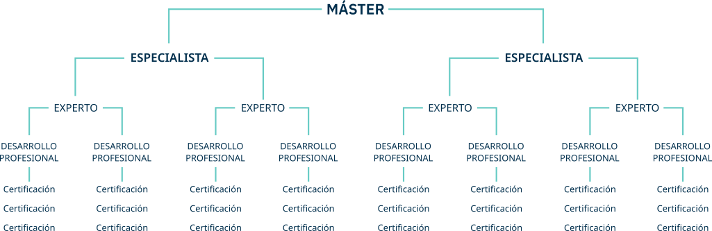Esquema masteres