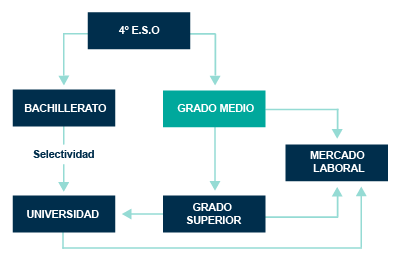 Itinerario académico del Grado Medio en Zaragoza