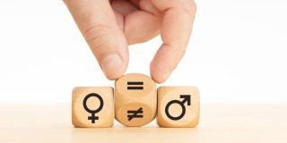 cubos con signos masculinos y femeninos y una mano poniendo uno en medio con el símbolo de igualdad