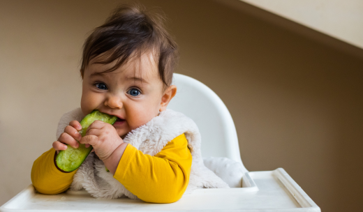 Un bebé sentado en una trona comiendo un pepino