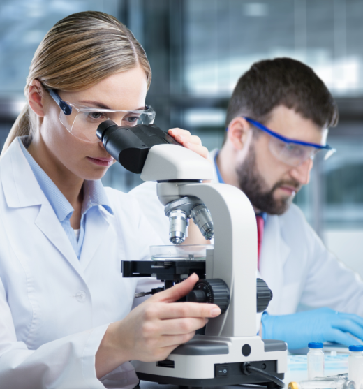 Dos técnicos de laboratorio analizando cultivos celulares con un microscopio y un portátil